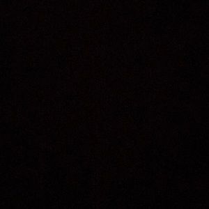 Meet your Posher, Nina